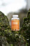 Jellybee Turmeric & Ginger gummies bottle on a moss-covered tree trunk.