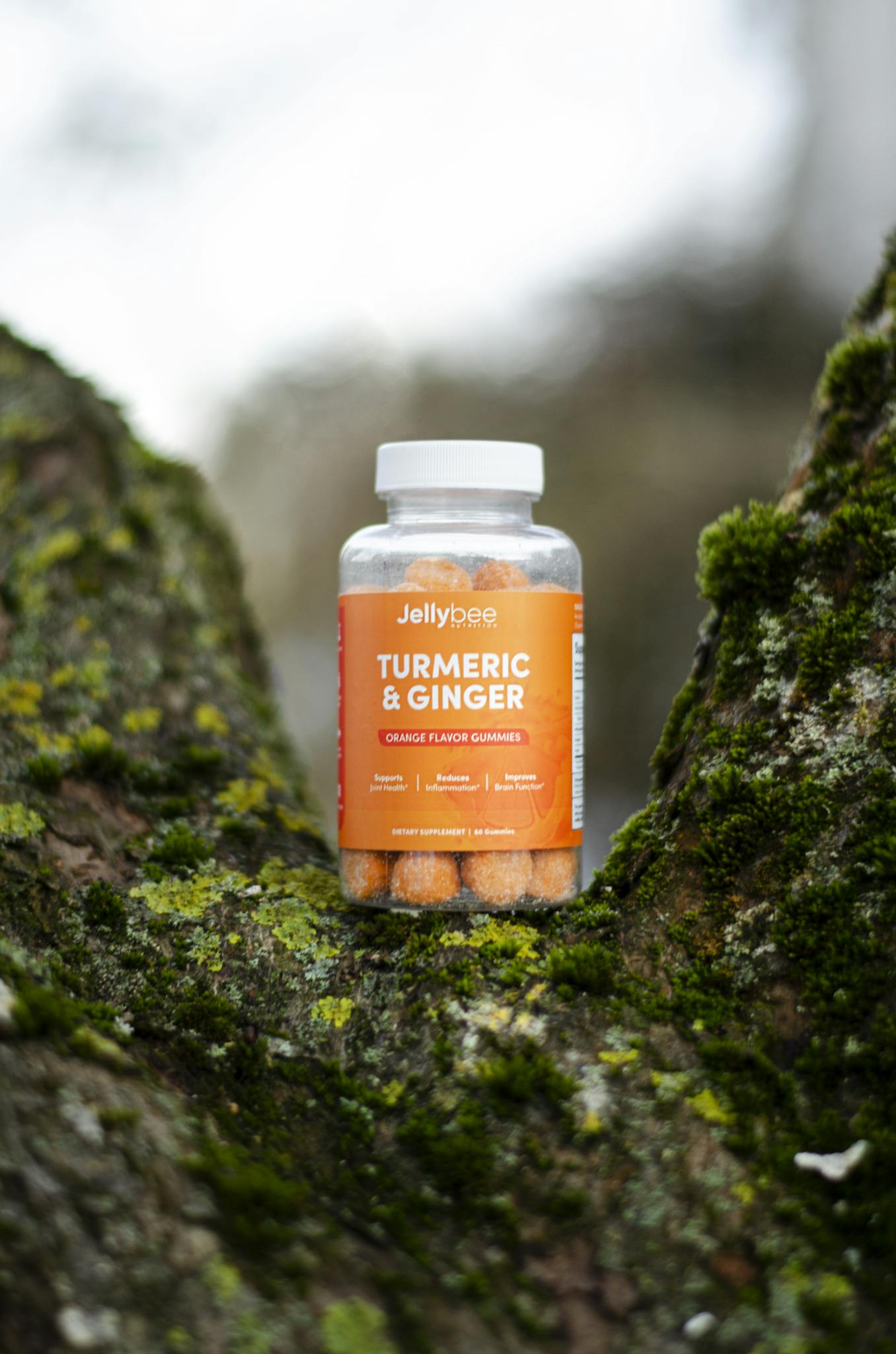 Jellybee Turmeric & Ginger gummies bottle on a moss-covered tree trunk.